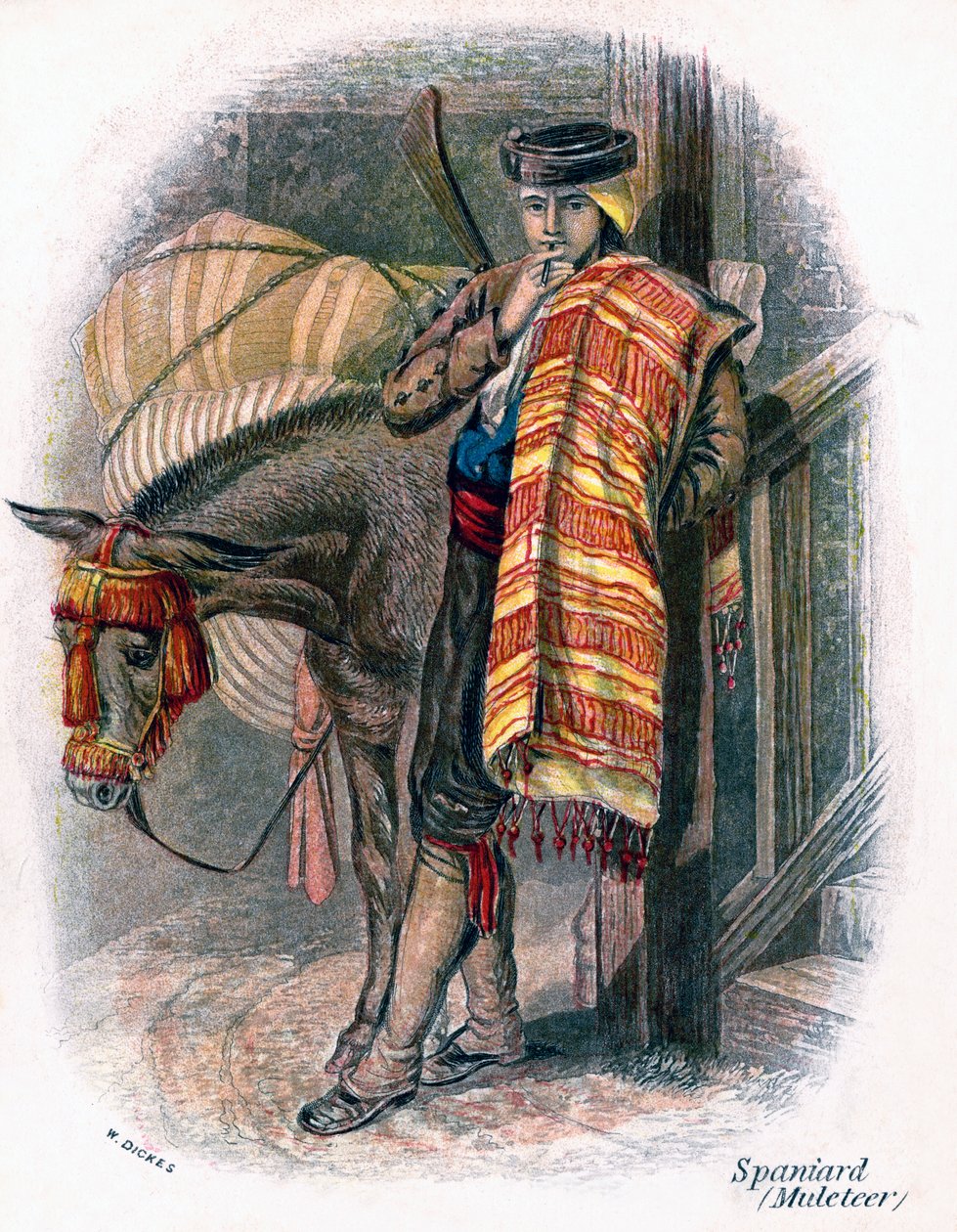 Muletier espagnol, 1809 - W. Dickes