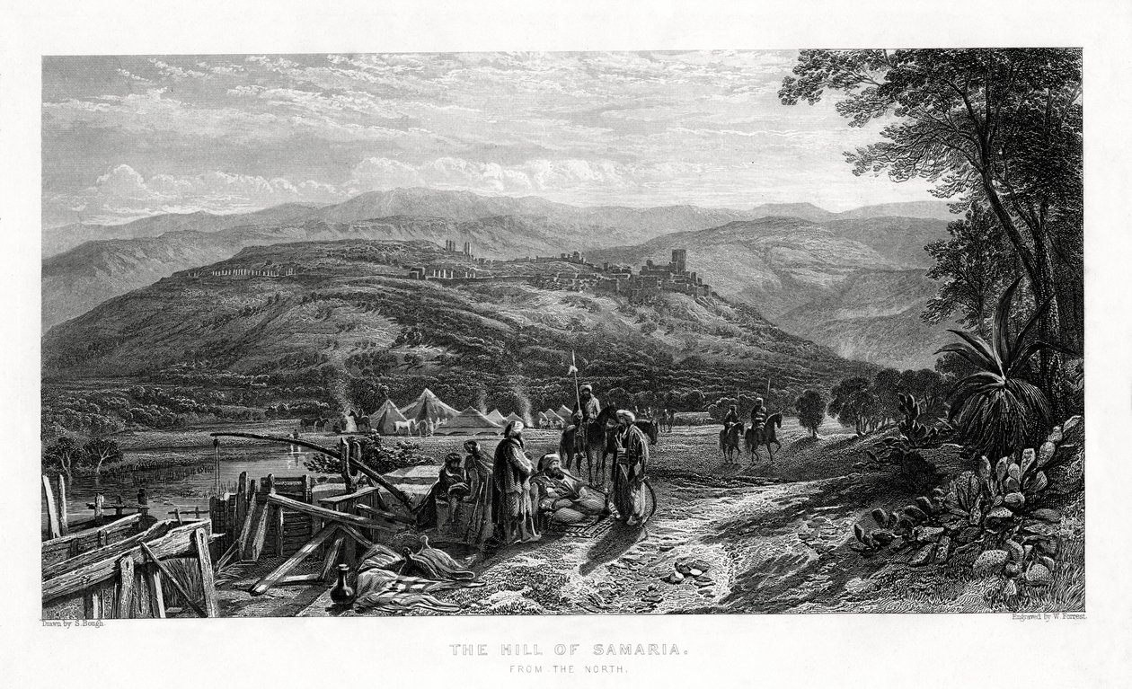 La colline de Samarie, 1887 - W. Forrest