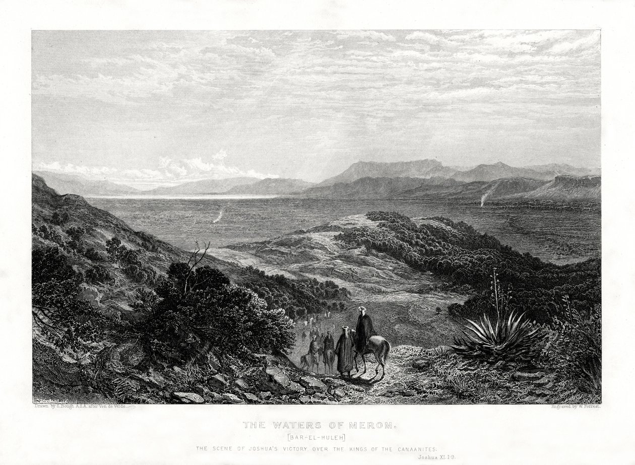 Les eaux de Mérom, Palestine, 1887 - W. Forrest
