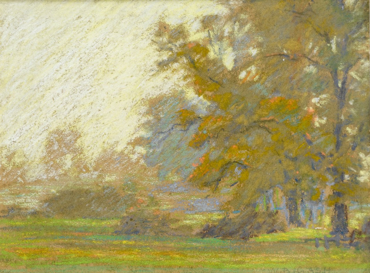 Paysage boisé - Walter Bonner Gash