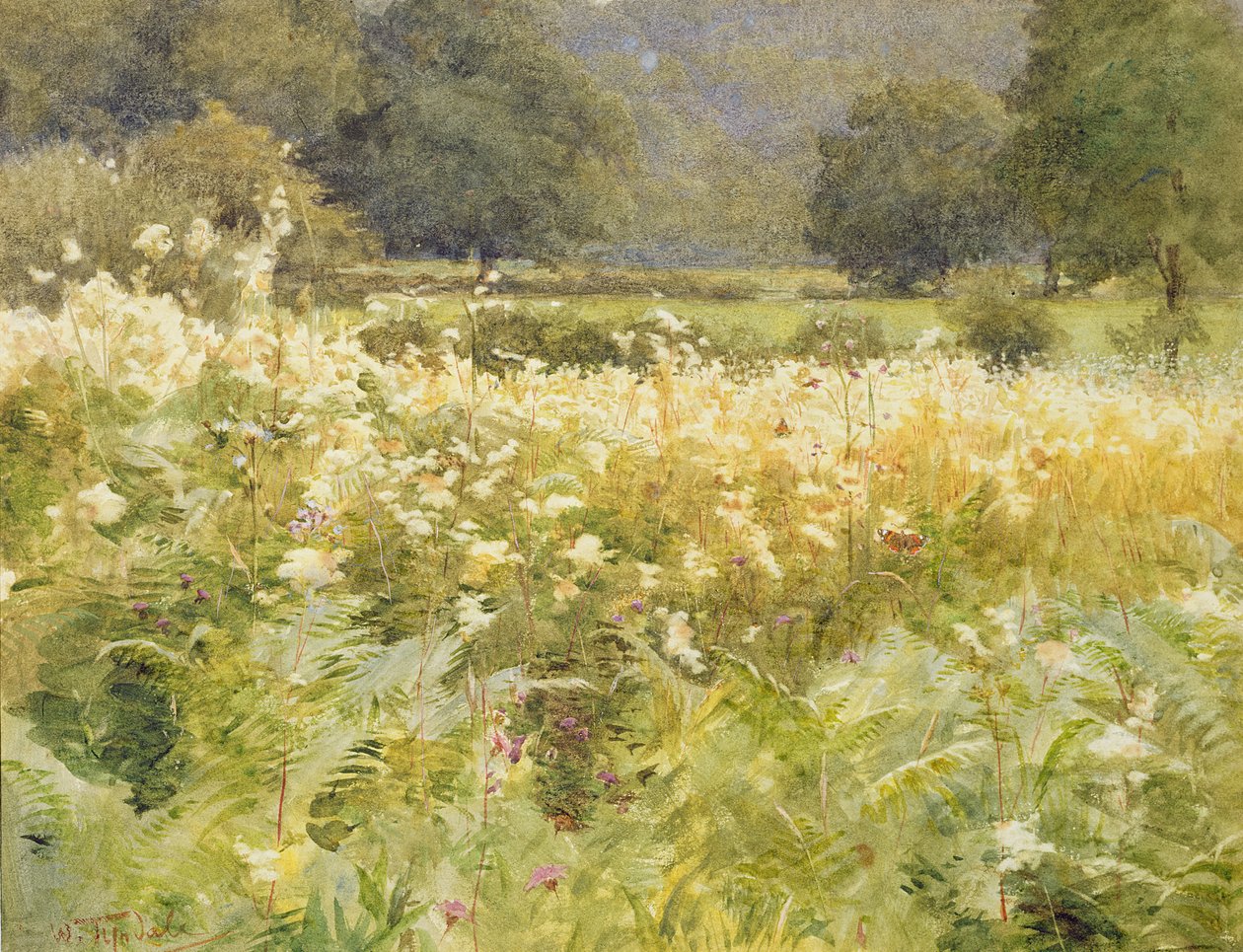 Reine-des-prés - Walter Frederick Roofe Tyndale