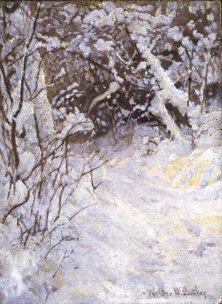 Neige - Walter D. Batley