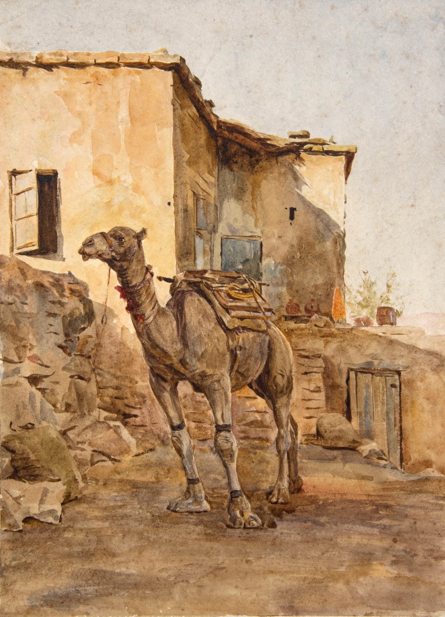 Chameau attaché - Walter Frederick Roofe Tyndale
