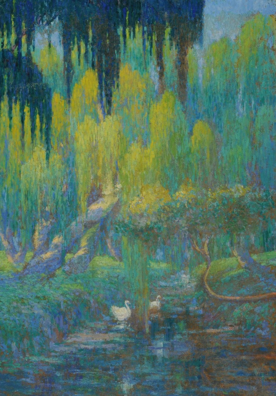 Paysage - Walter Navazio de