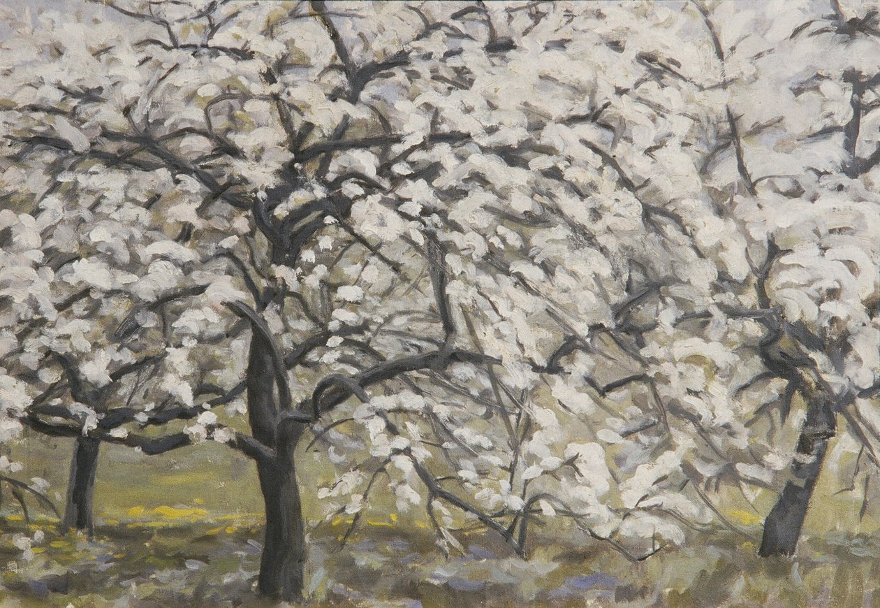 Arbres fruitiers en fleurs - Walther Gamerith