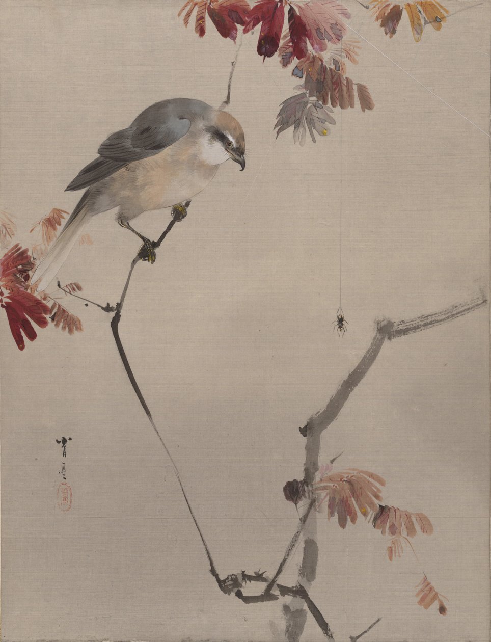 Oiseau sur une branche regardant une araignée - Watanabe Seitei