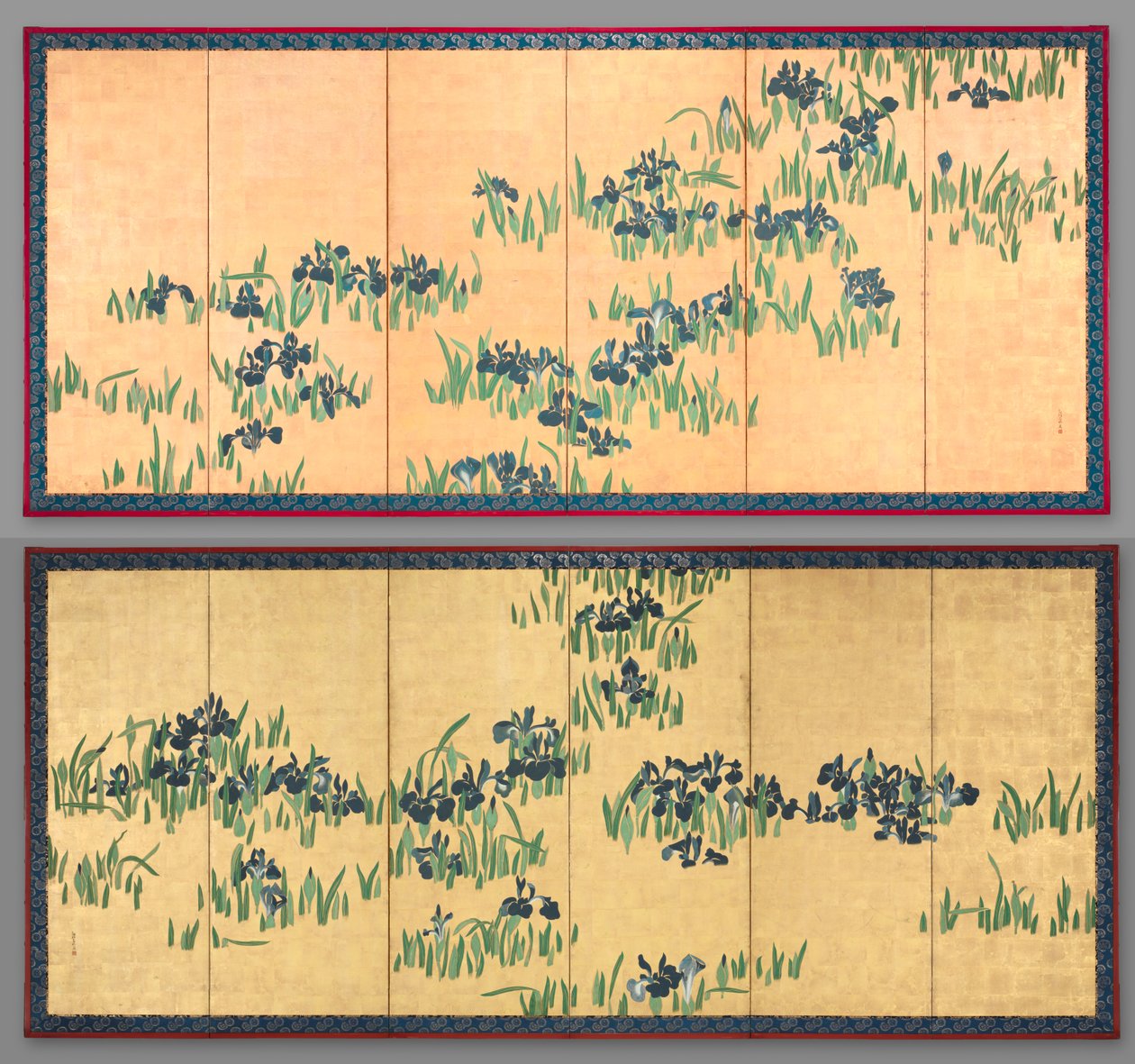 Iris - Watanabe Shiko
