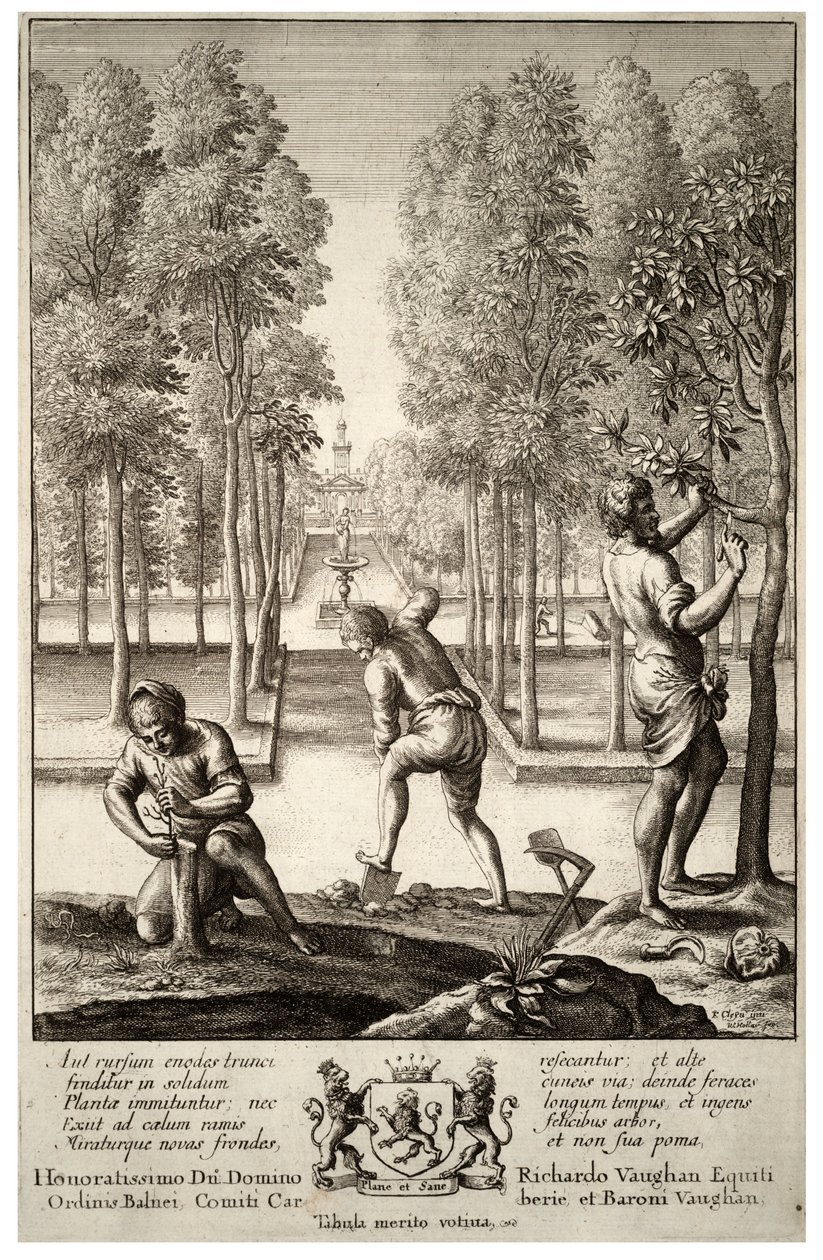Jardinage. État 1 - Wenceslaus Hollar