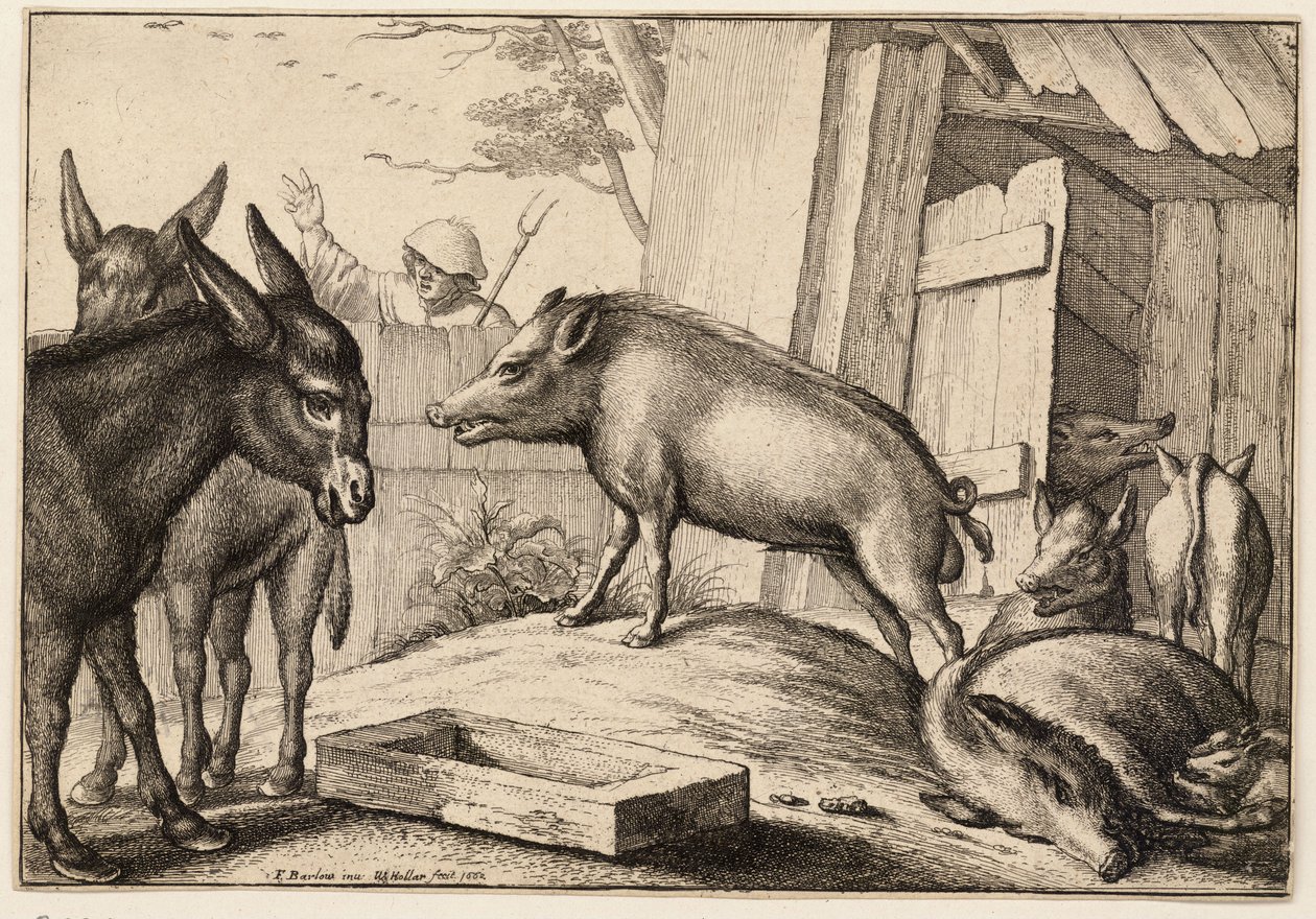 Cochons et ânes - Wenceslaus Hollar