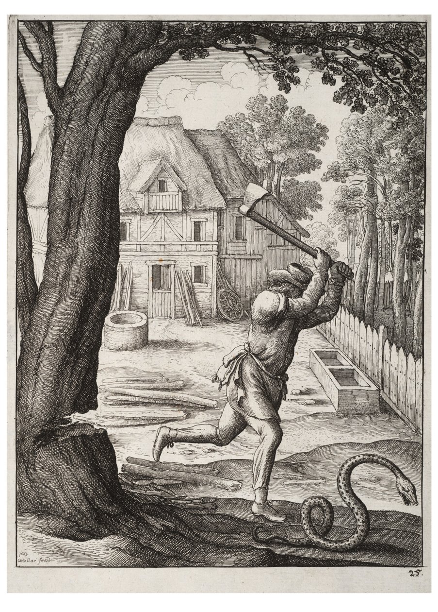 Le paysan et le serpent - Wenceslaus Hollar