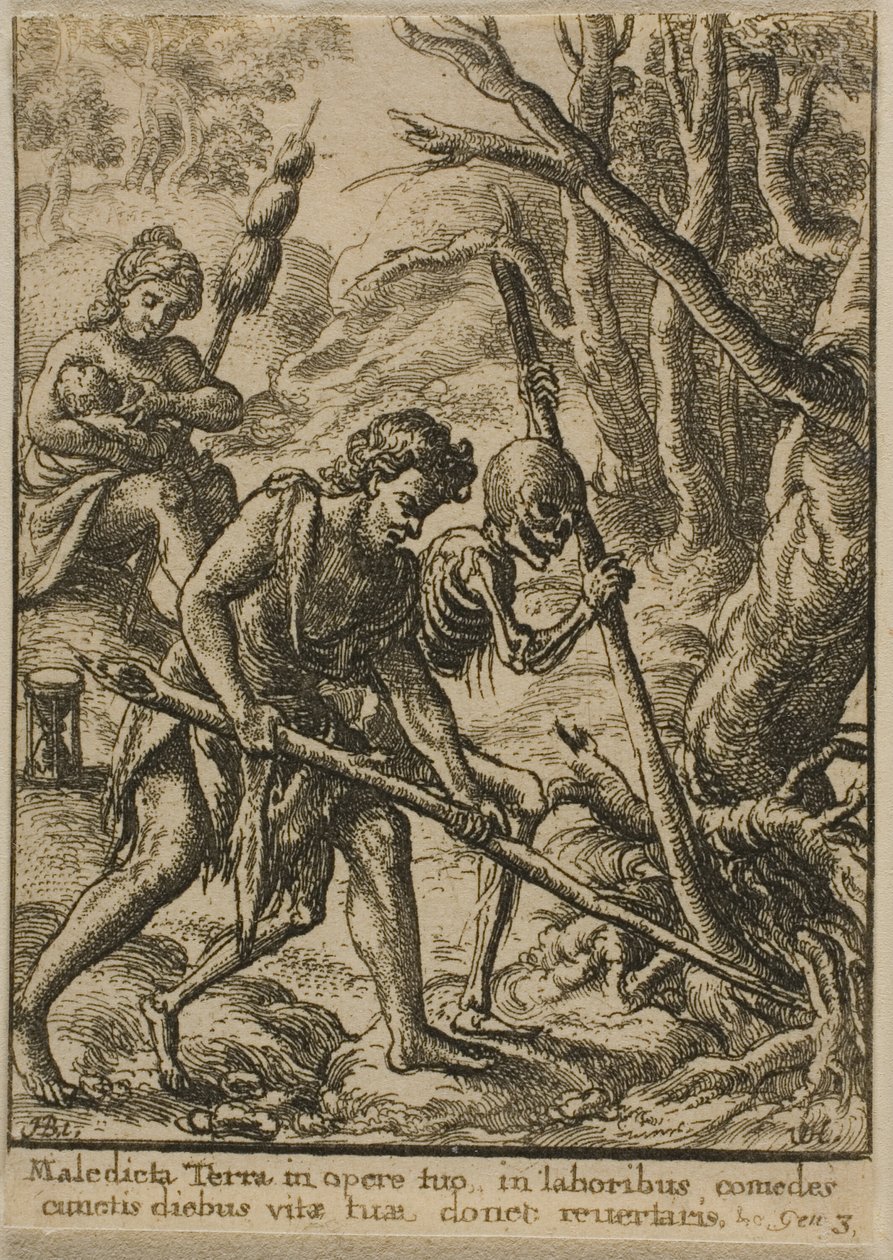 Adam labourant - Wenceslaus Hollar