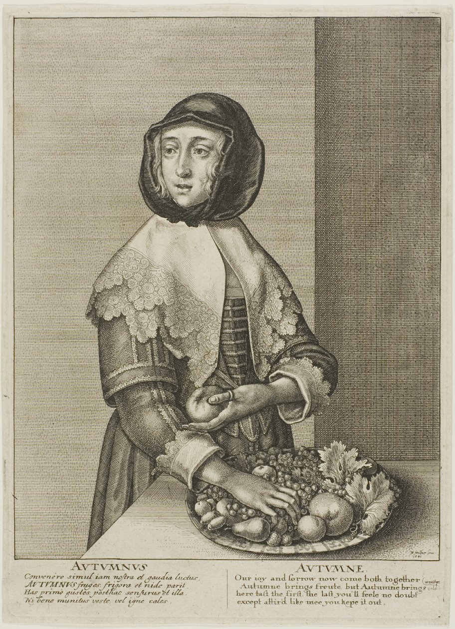 Automne - Wenceslaus Hollar