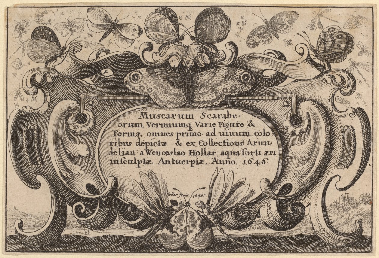 Page de titre - Wenceslaus Hollar