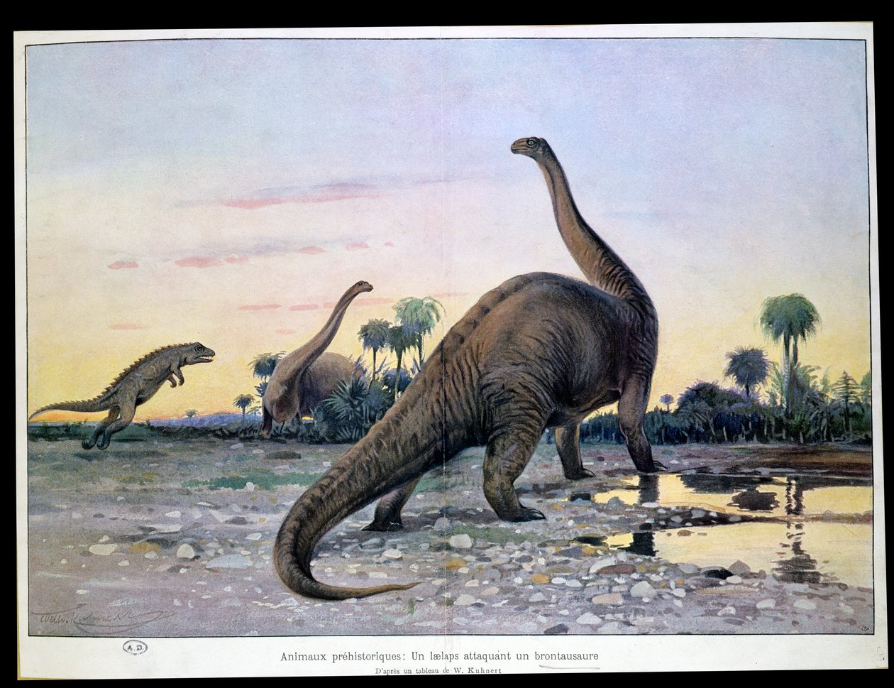 Animaux Préhistoriques: un Laelaps attaquant un Brontosaure - Wilhelm Kuhnert