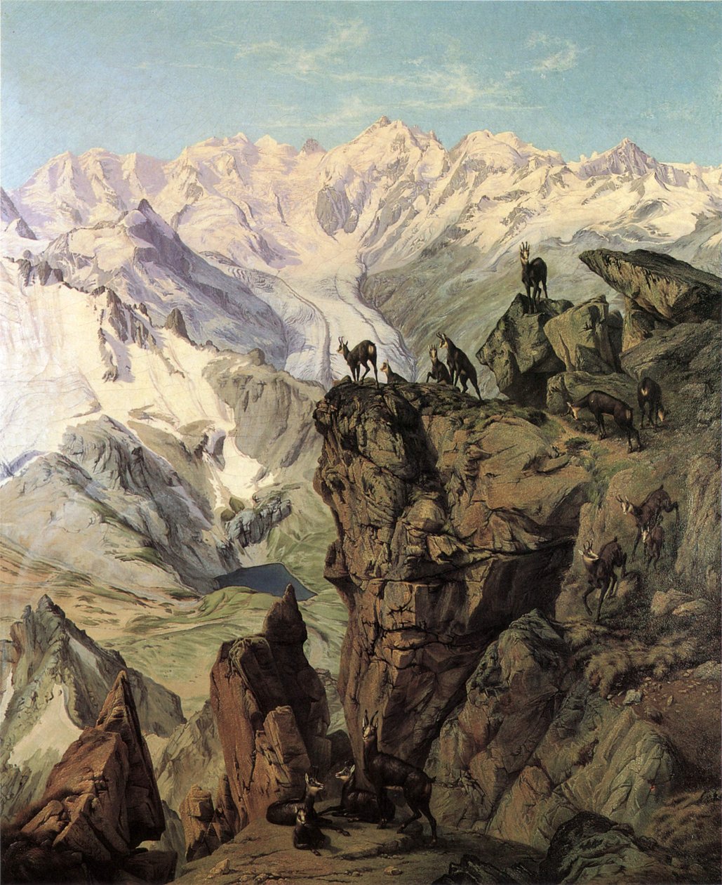 Groupe de Bernina avec des chamois - Wilhelm Georgy