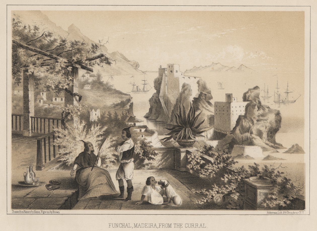 Funchal, Madère, depuis le Curral, 1885 - Wilhelm Joseph Heine