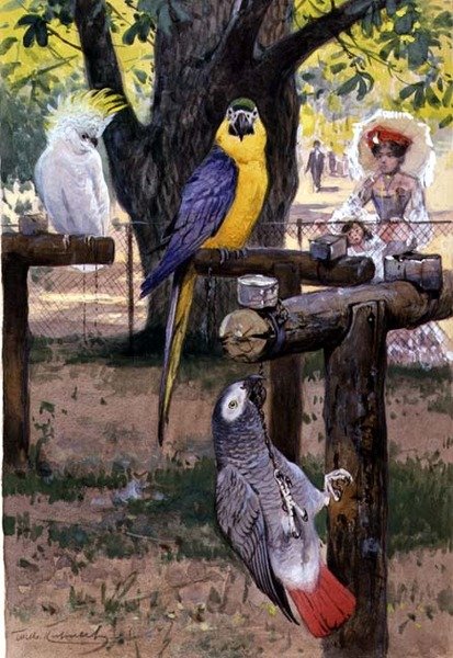 Au zoo - Wilhelm Kuhnert