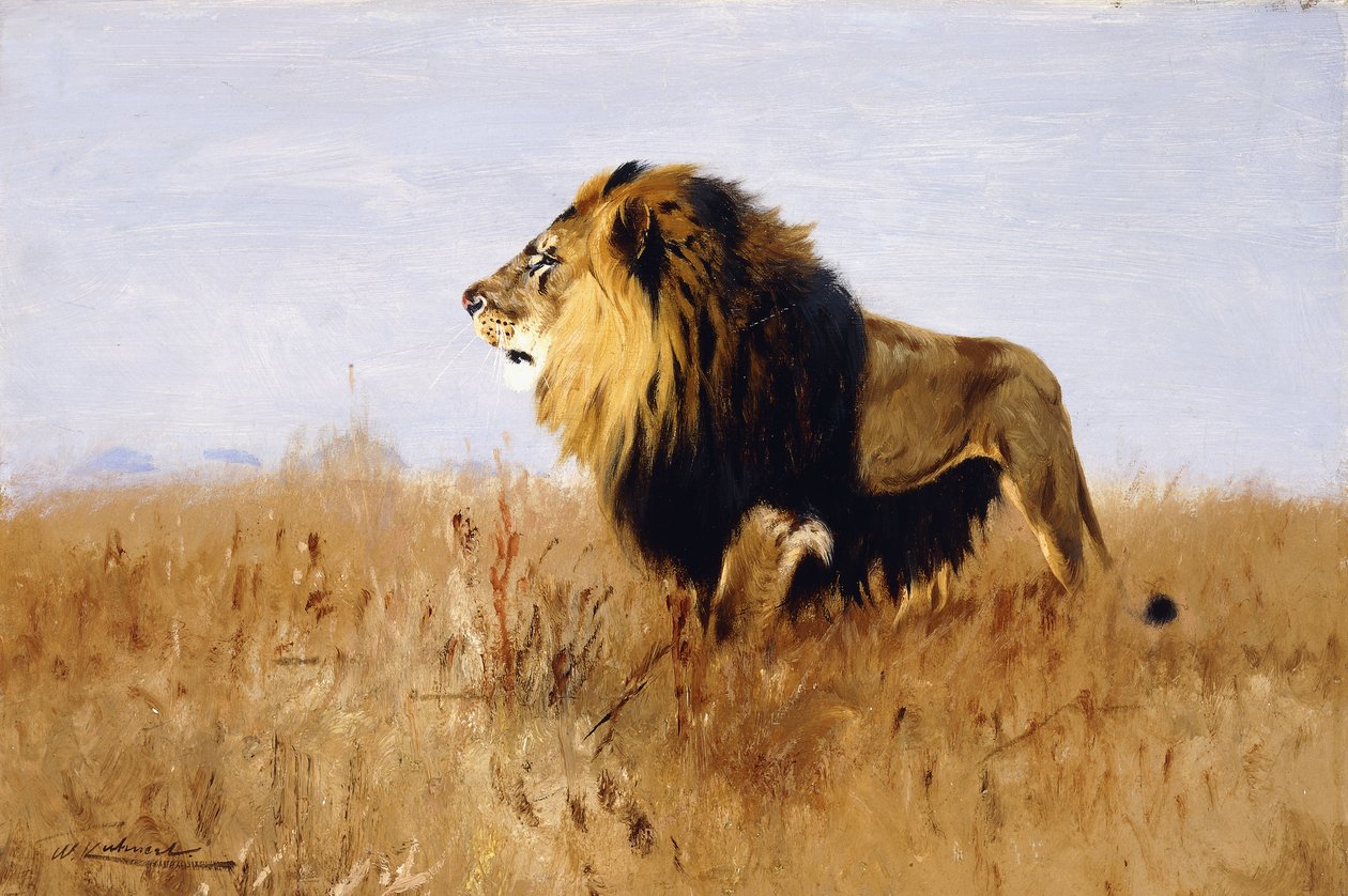 Lion Guettant sa Proie - Wilhelm Kuhnert