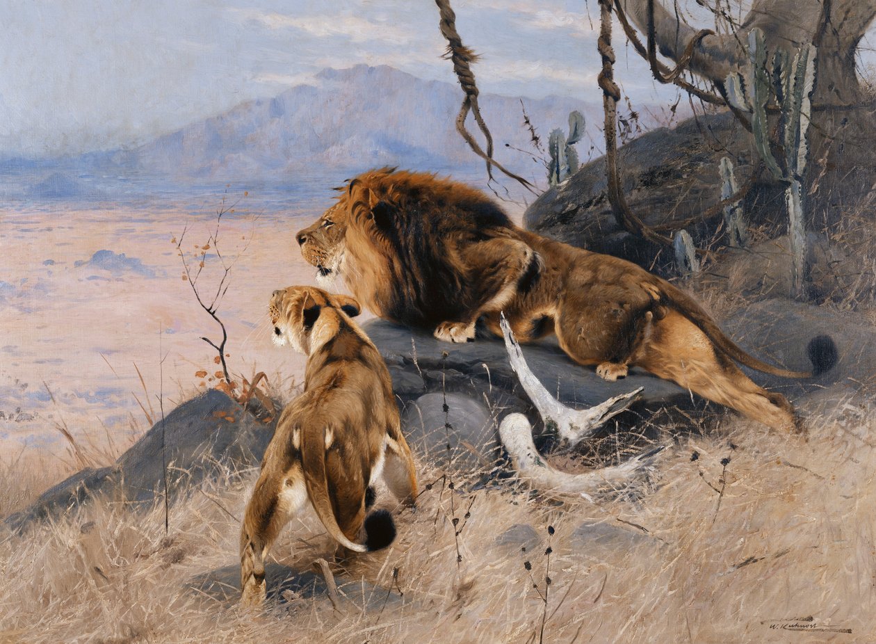 Lion et lionne - Wilhelm Kuhnert