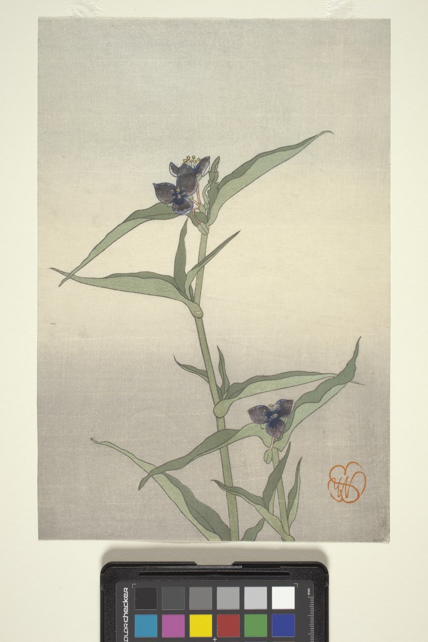 Étude de fleurs, c.1908 - Wilhelmina Seegmiller