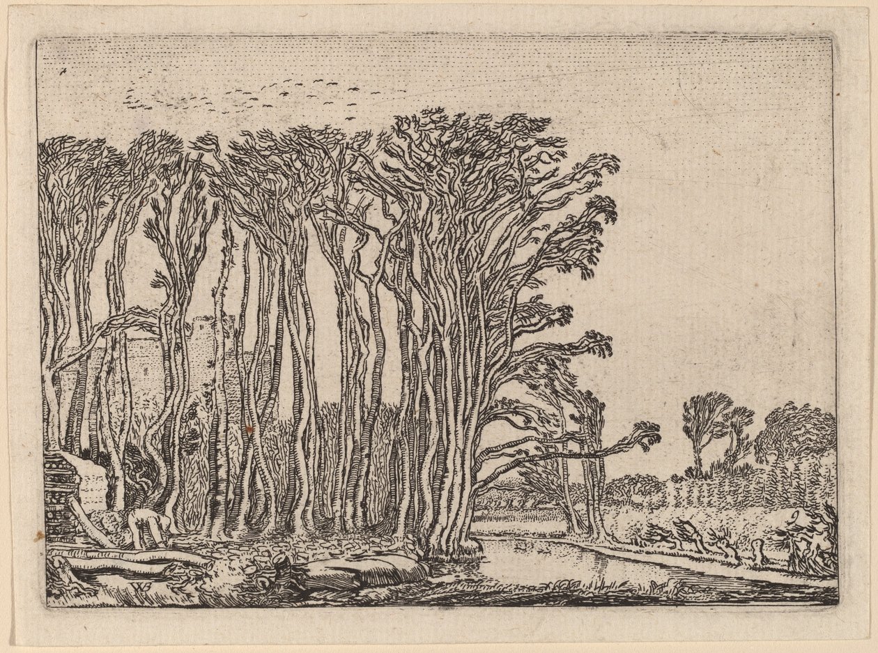 Le charbonnier - Willem Buytewech