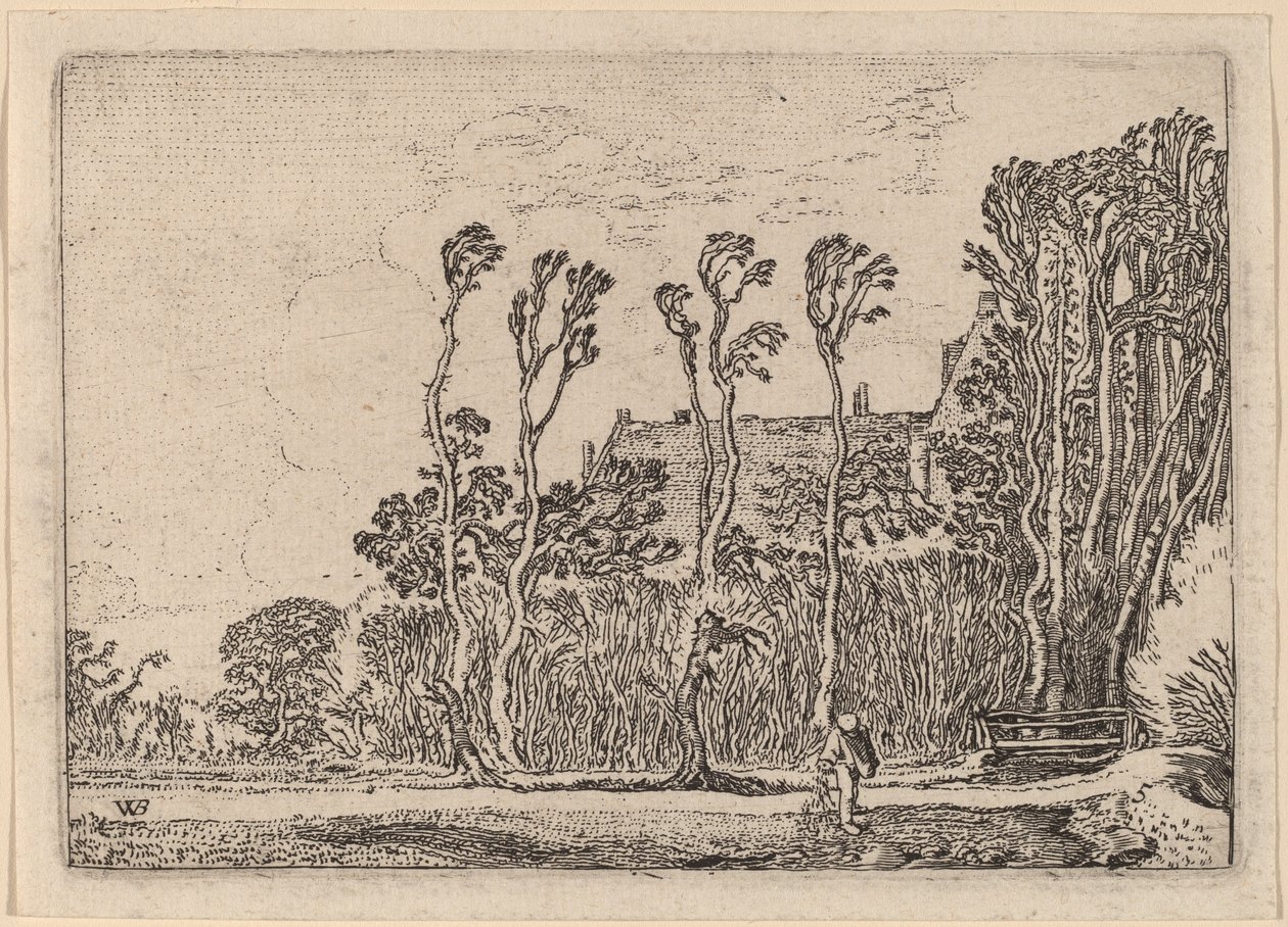 Le Semeur - Willem Buytewech