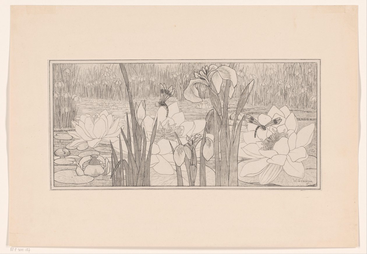 Nénuphars - Willem C. Scherjon