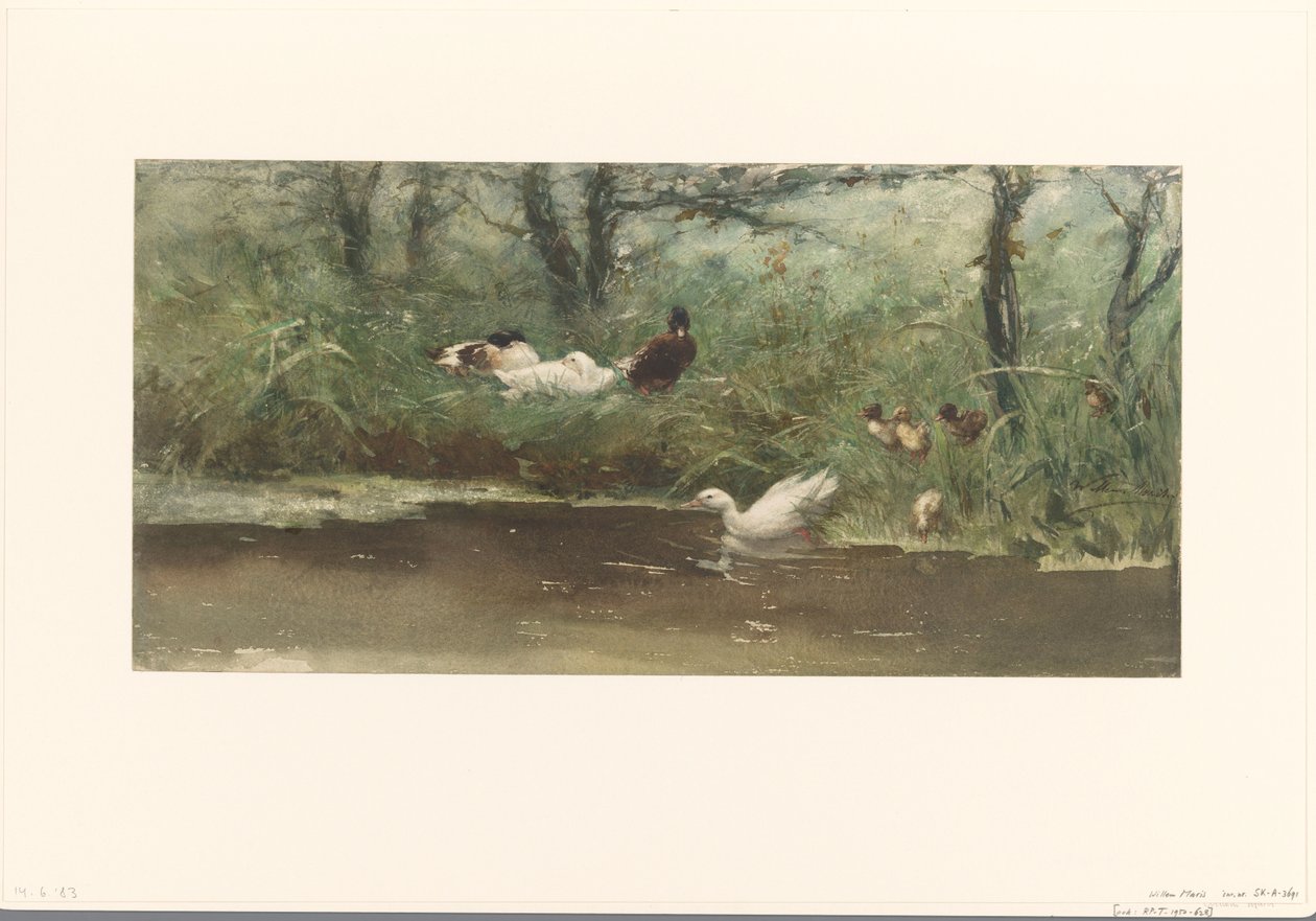 Canards au bord du fossé - Willem Maris