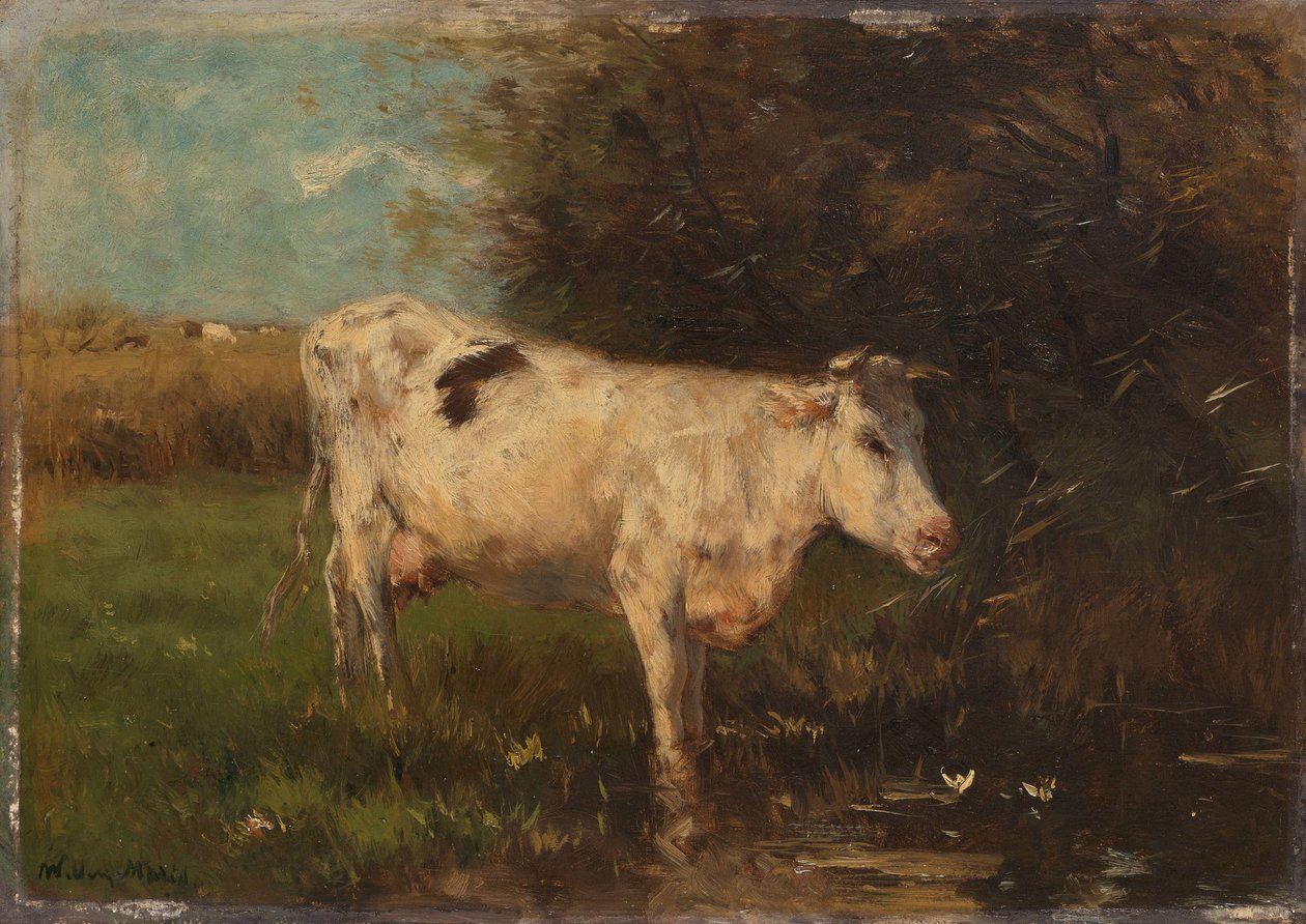 Vache blanche - Willem Maris