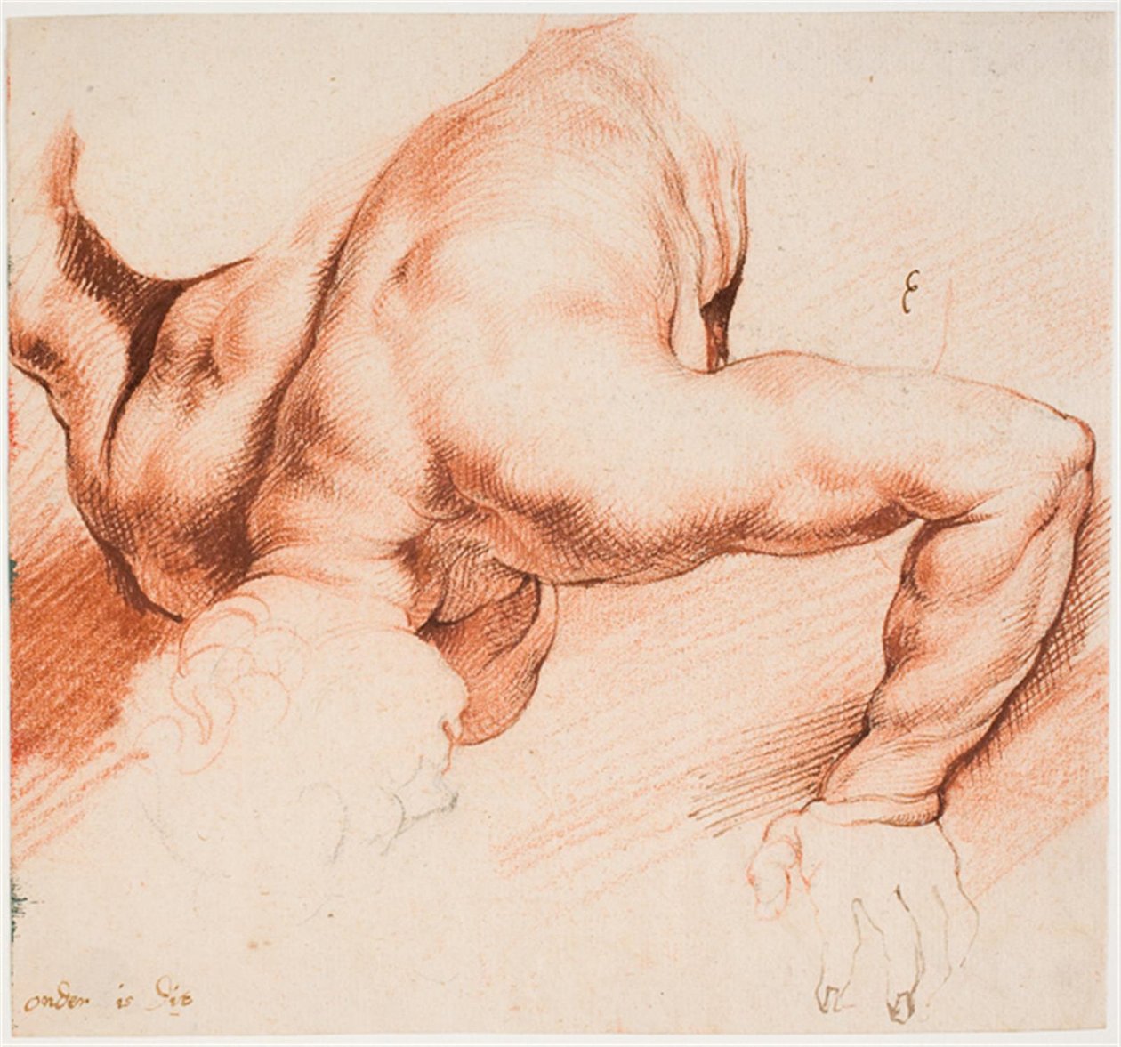 Lutteurs. Groupe de sculptures antiques. Figure inférieure - Willem Panneels