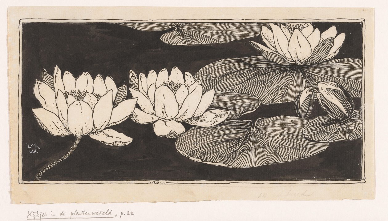 Nénuphars - Ludwig Willem Reymert Wenckebach