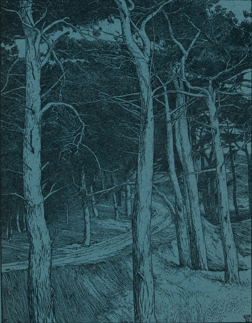 Forêt, vers 1912 - Willem Wenckebach