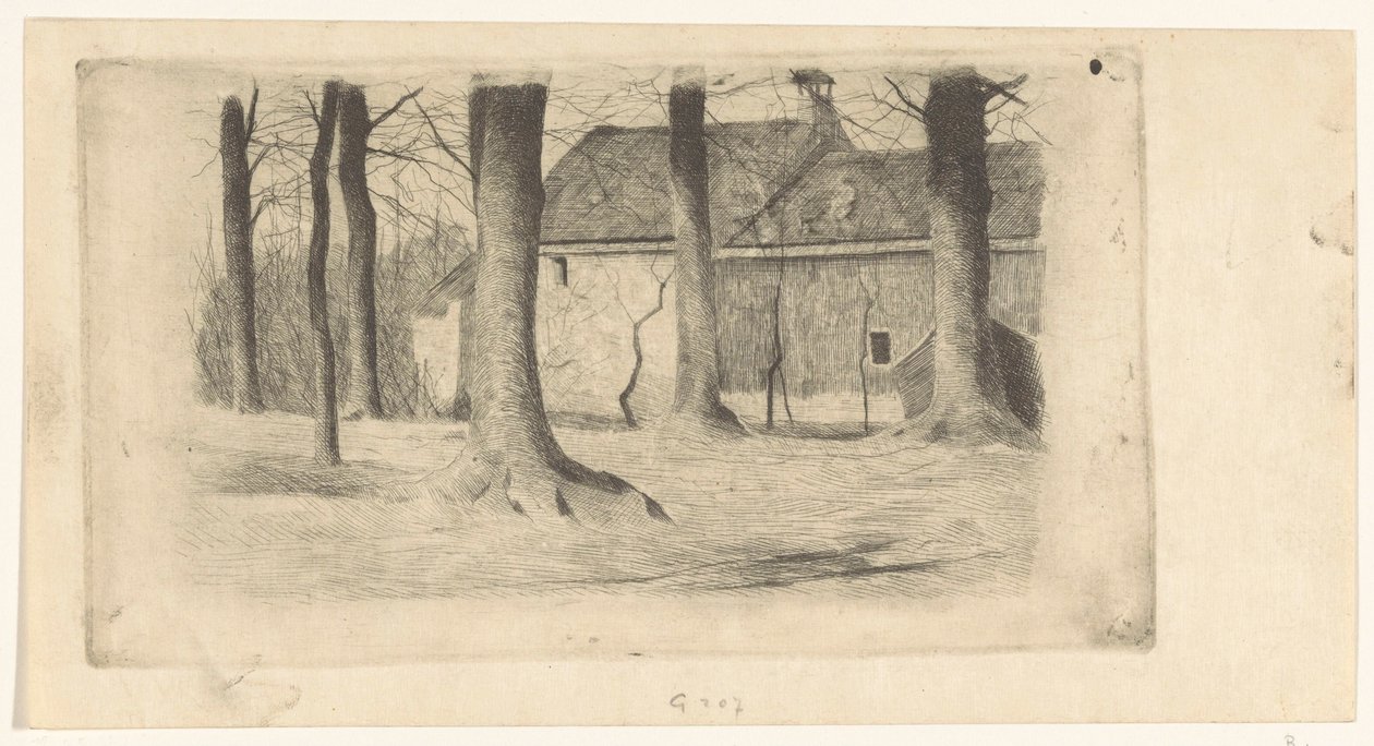 Arbres près d