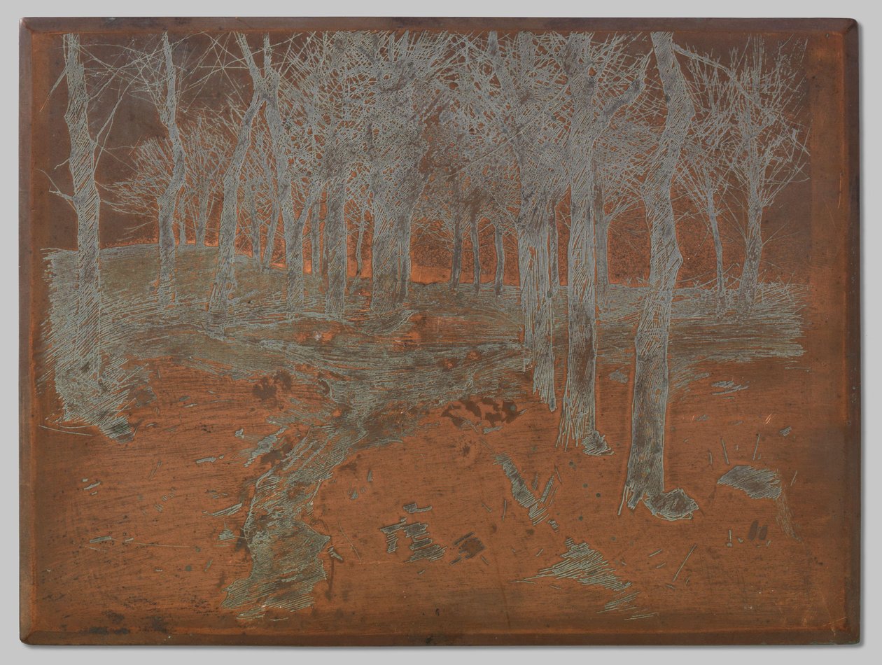 Forêt à Ewijkshoeve - Willem Arnoldus Witsen