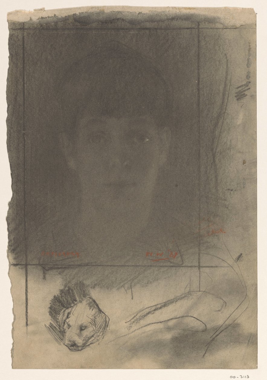 Portrait, de face - Willem Arnoldus Witsen