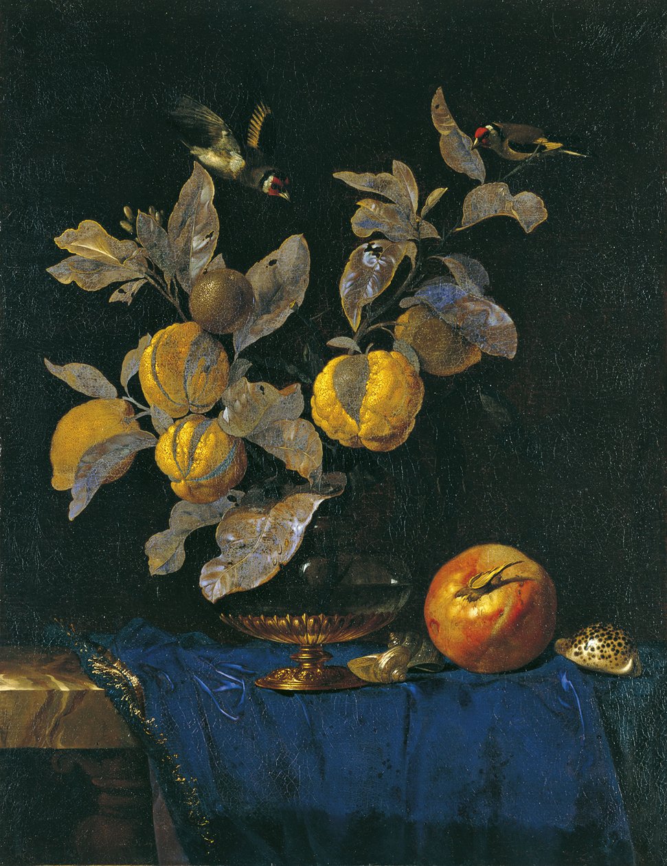 Nature morte avec fruits - Willem van Aelst