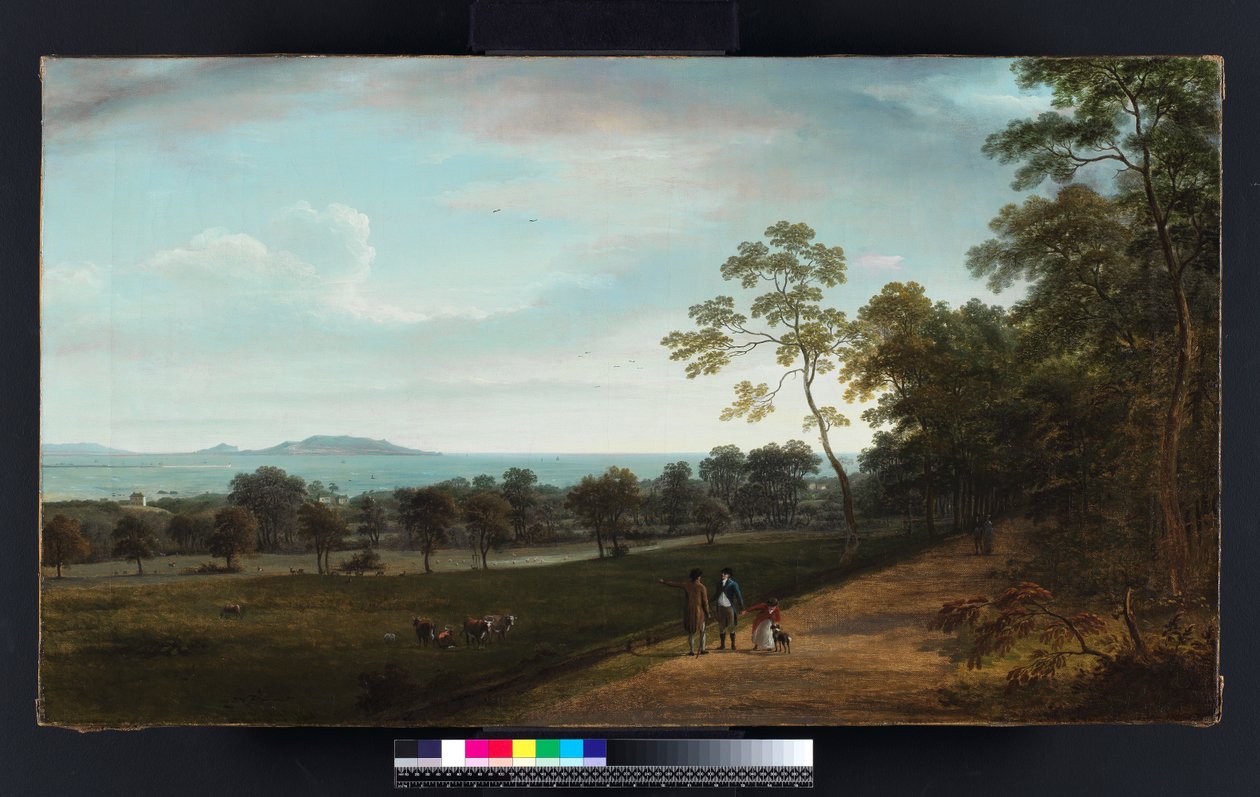 Vue dans le parc de Mount Merrion, 1806 - William Ashford