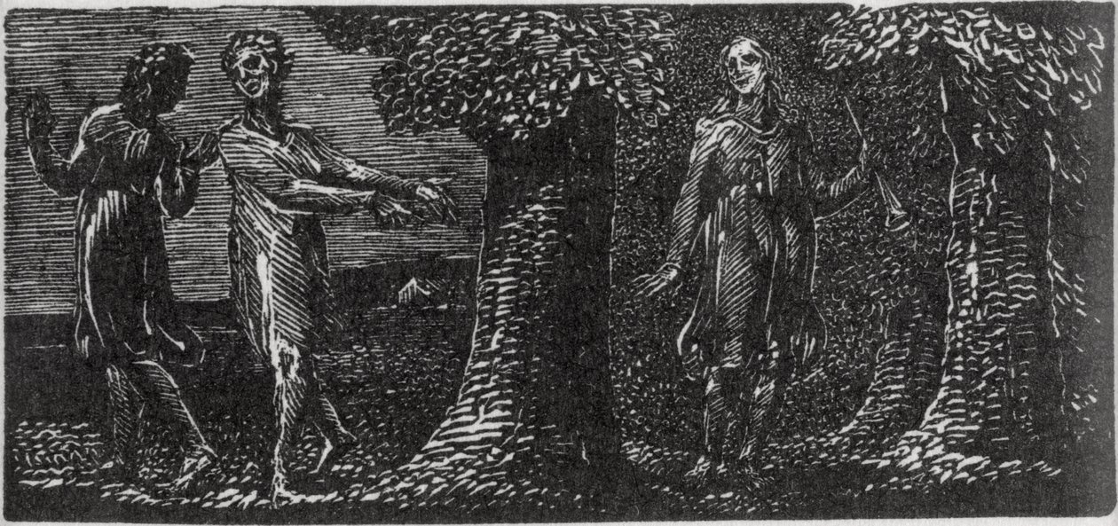 Colinet moqué par deux garçons, illustration du 