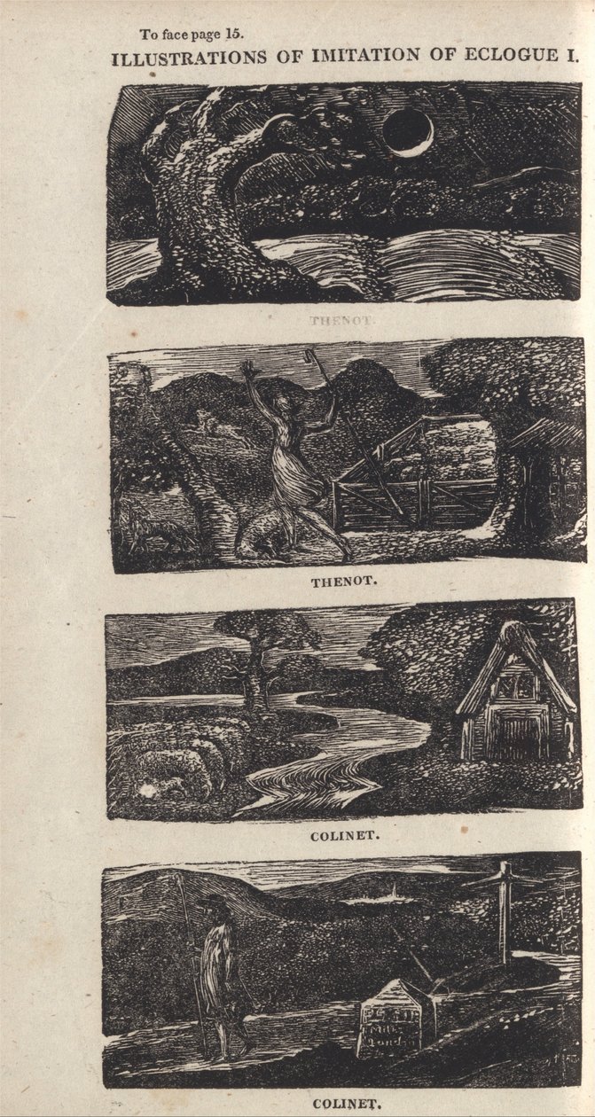 Illustrations de l
