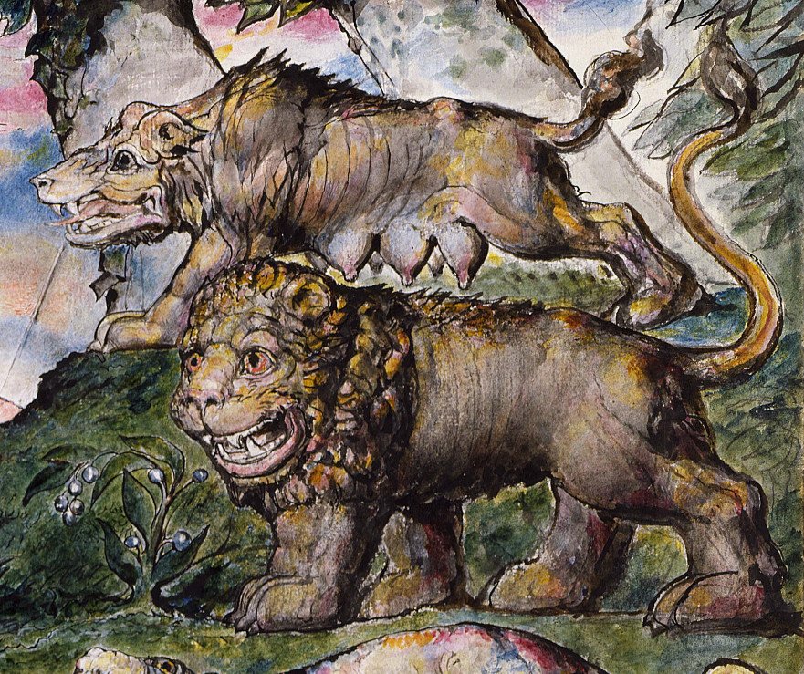Lion et loup - William Blake