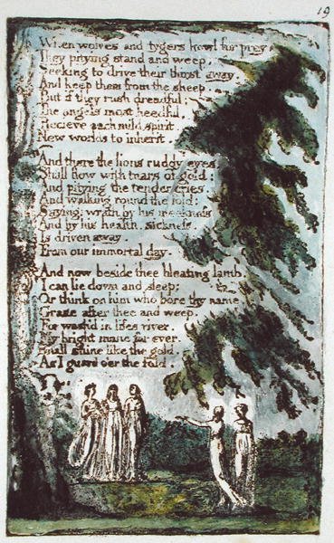 Quand les loups et les tigres... illustration de Chants d
