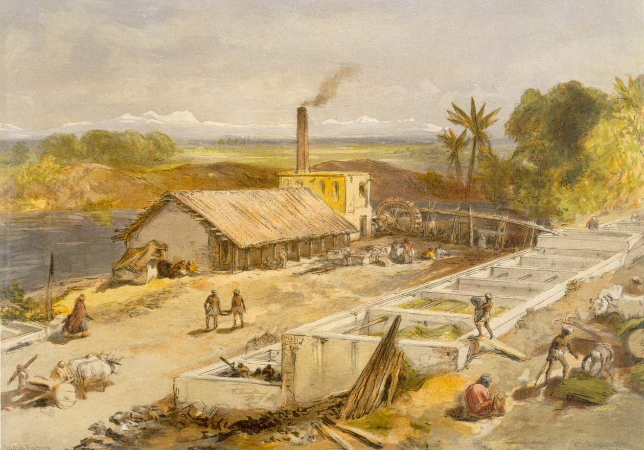 Usine d