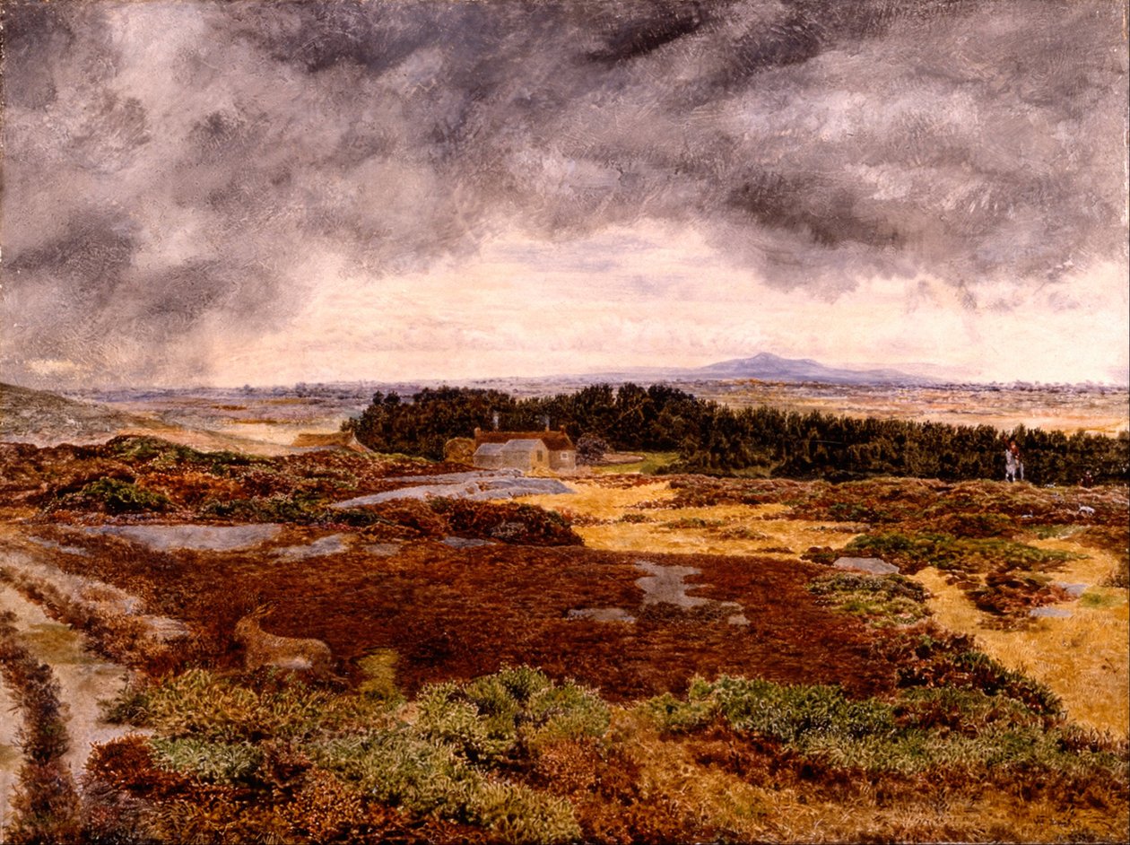 Vue depuis Bidston Hill - William Davis