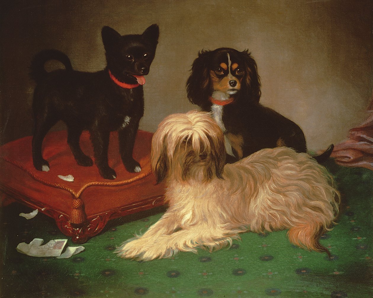 Trois chiens - William Elsob Marshall