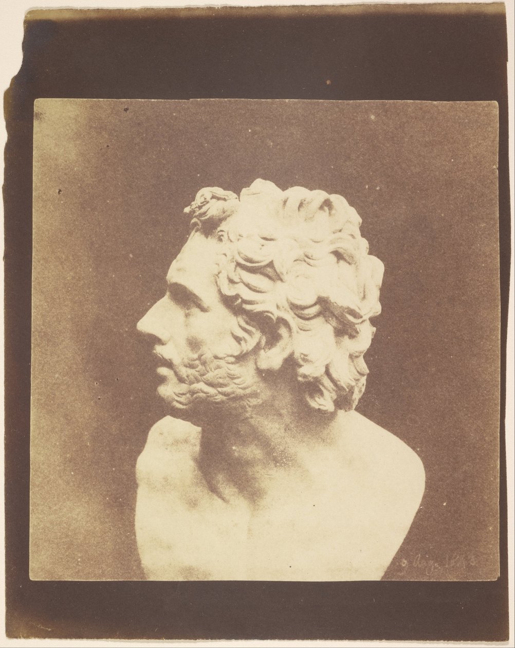 (Buste de Patrocle) - William Henry Fox Talbot