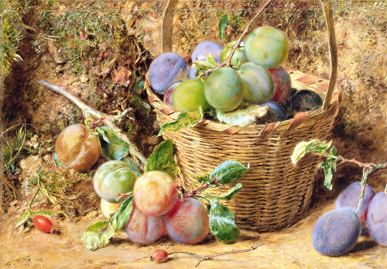 Prunes - William Henry Hunt