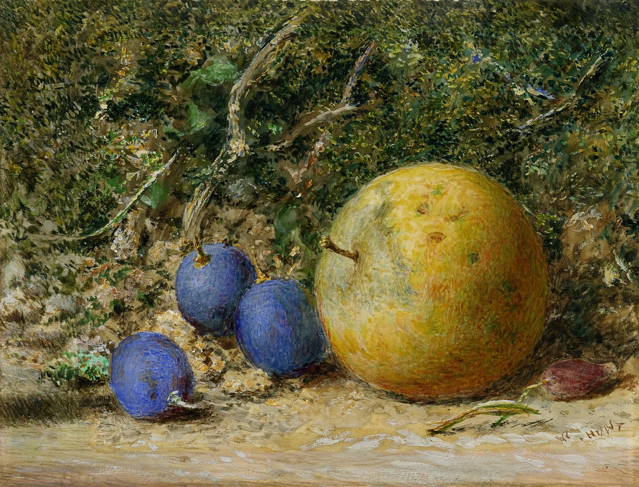 Trois raisins et une pomme - William Henry Hunt