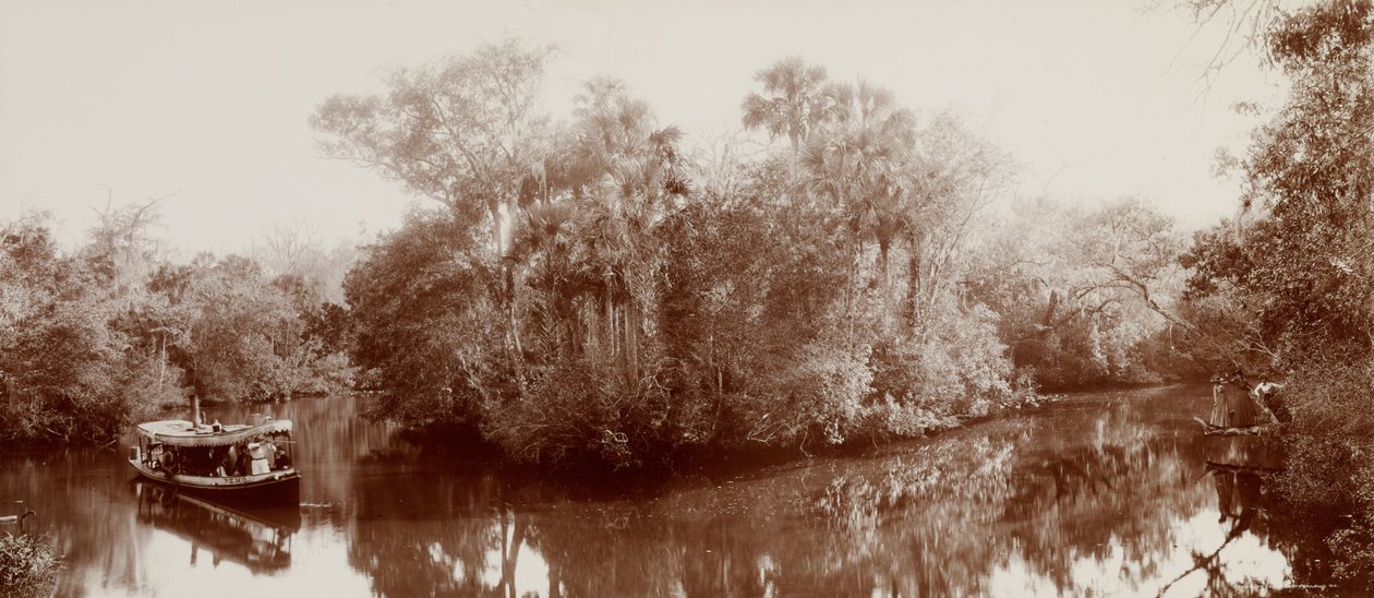 Sur la Tomoka près d