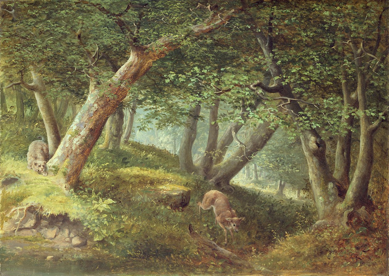 Dans la forêt, 1856 - William Holbrook Beard