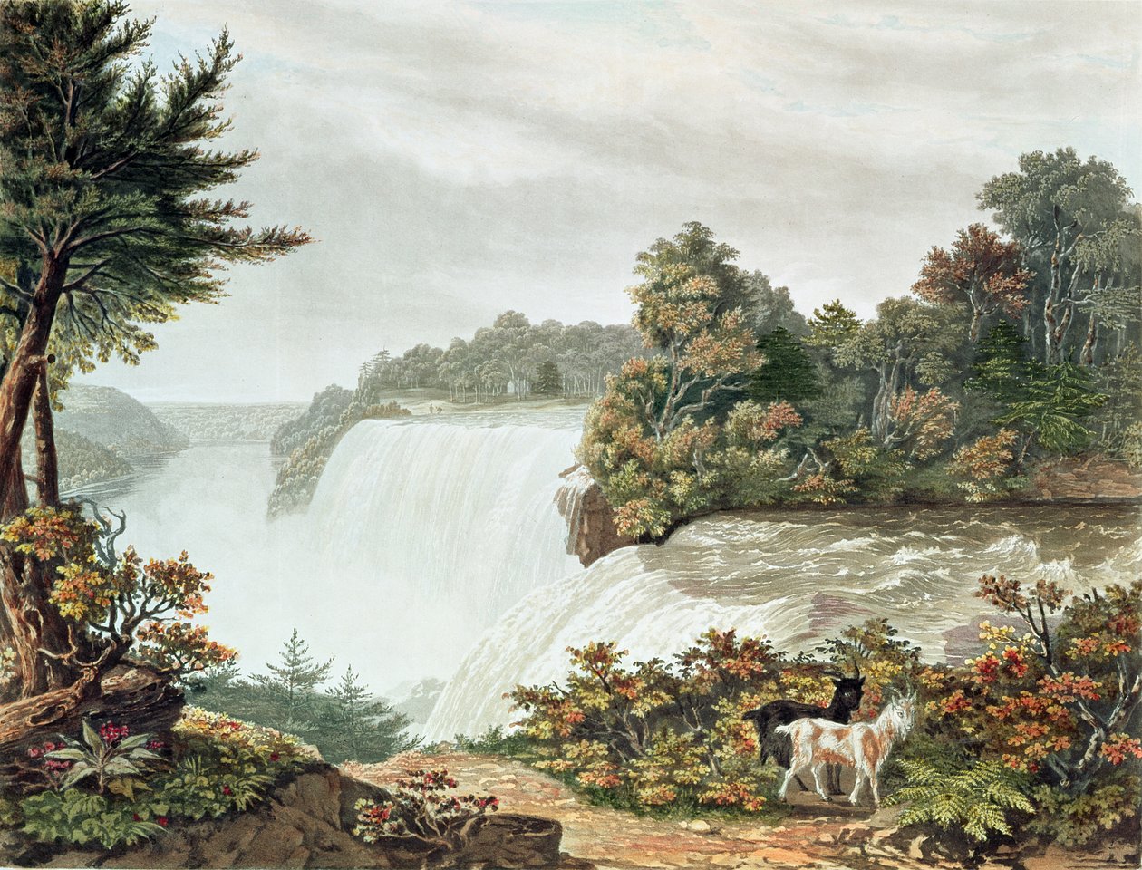 Chutes du Niagara, depuis Goat Island - William James Bennett